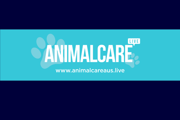 animal care bushfires