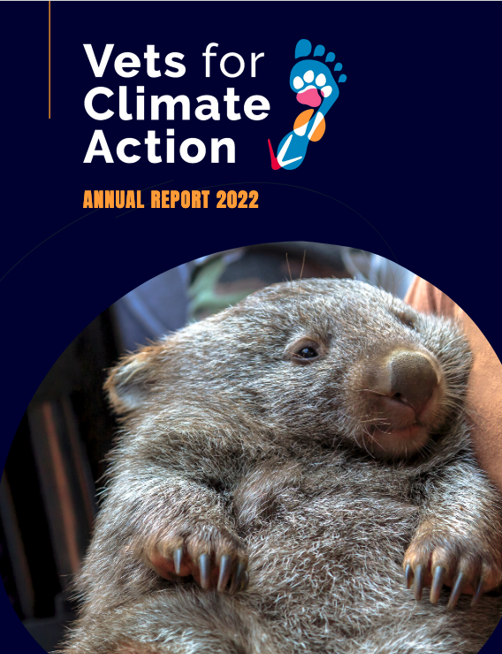 annual report 2022