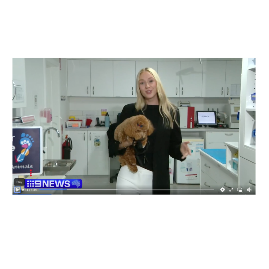 channel 9 news ccp