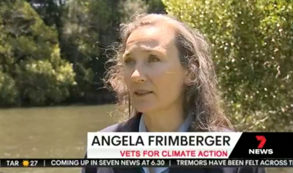 dr angela frimberger in the news