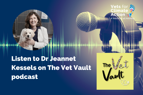 dr jeannet kessels on the vet vault