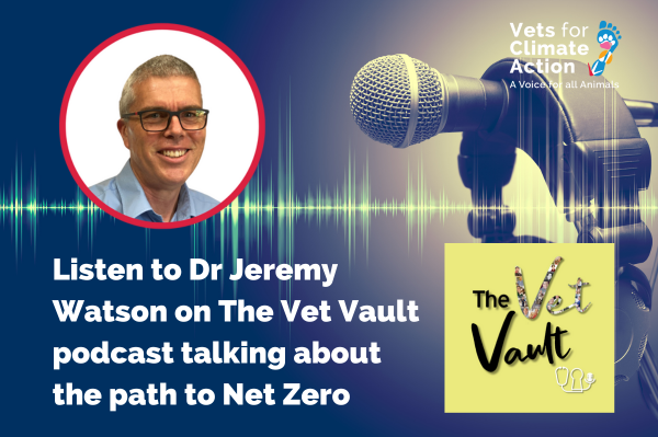 dr jeremy watson on the vet vault