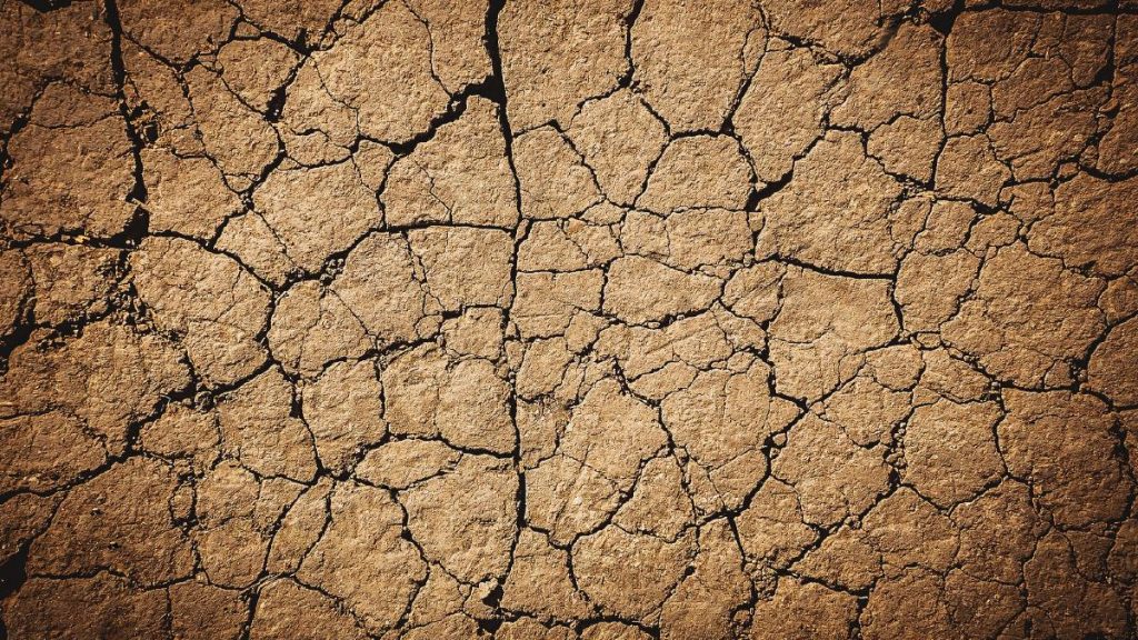 farmers see rapid climate change