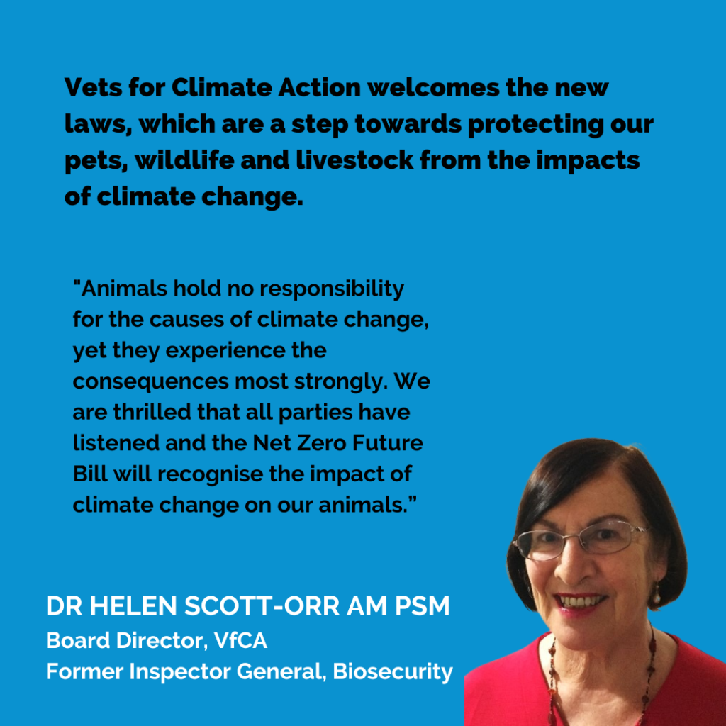 media release net zero futures