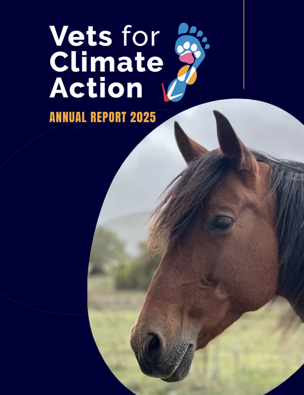 news annual report 2025