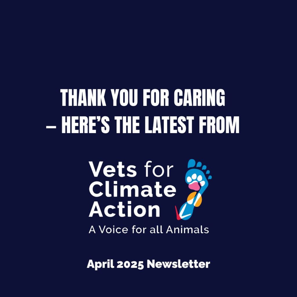 news april 2025 newsletter
