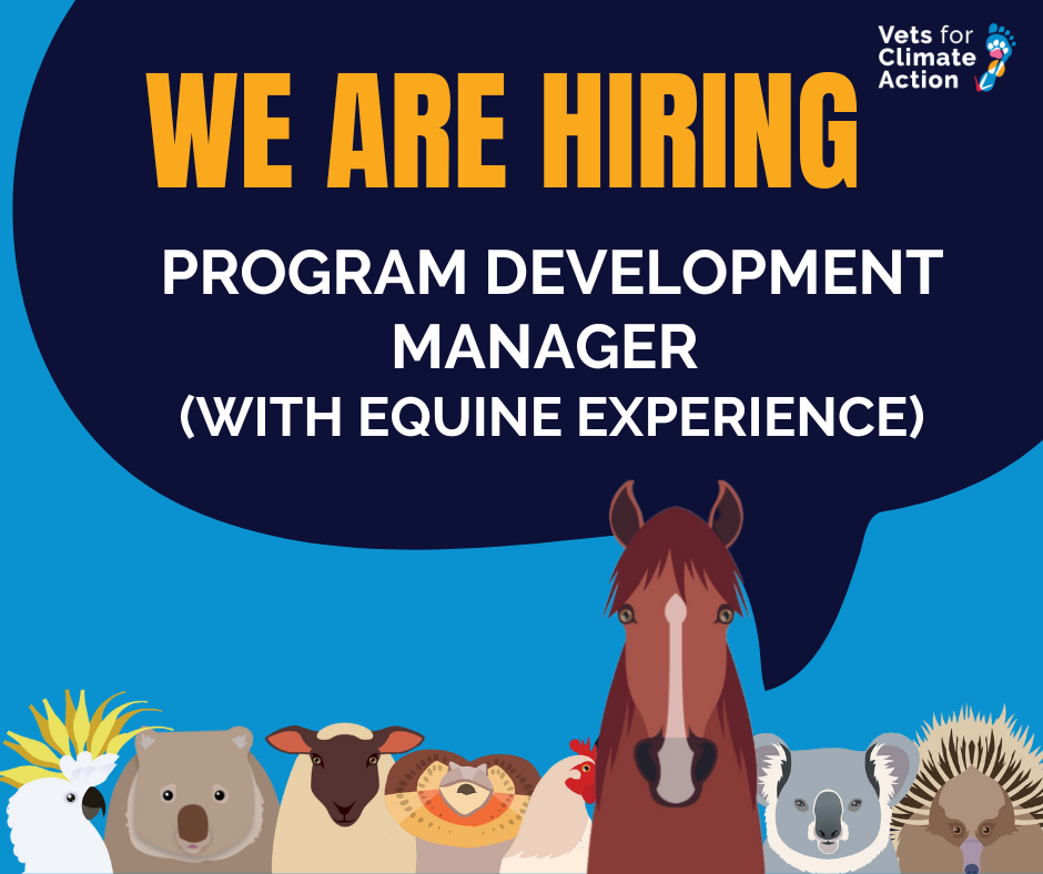 news equine program development hiring