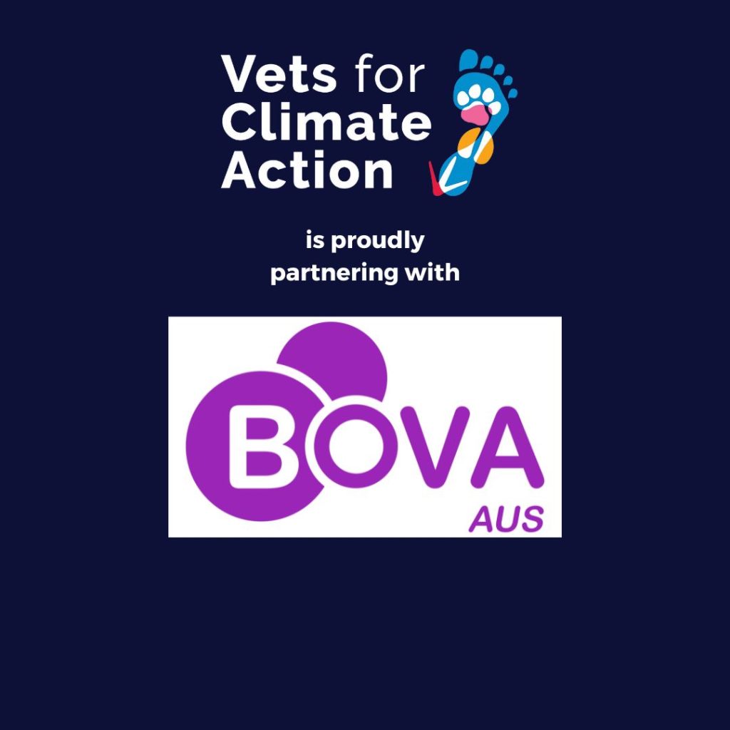 news partnering with bova aus