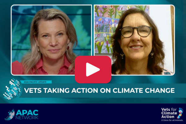 on the apac network vets taking action on climate