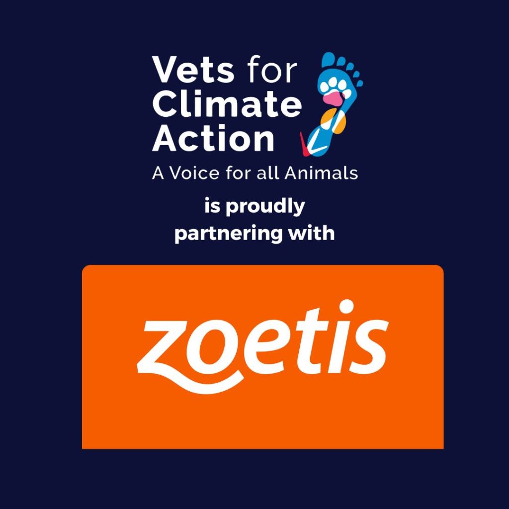 partnership with zoetis