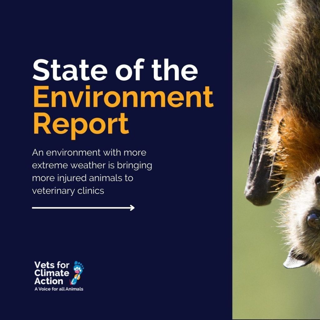 state of the environment report 2022
