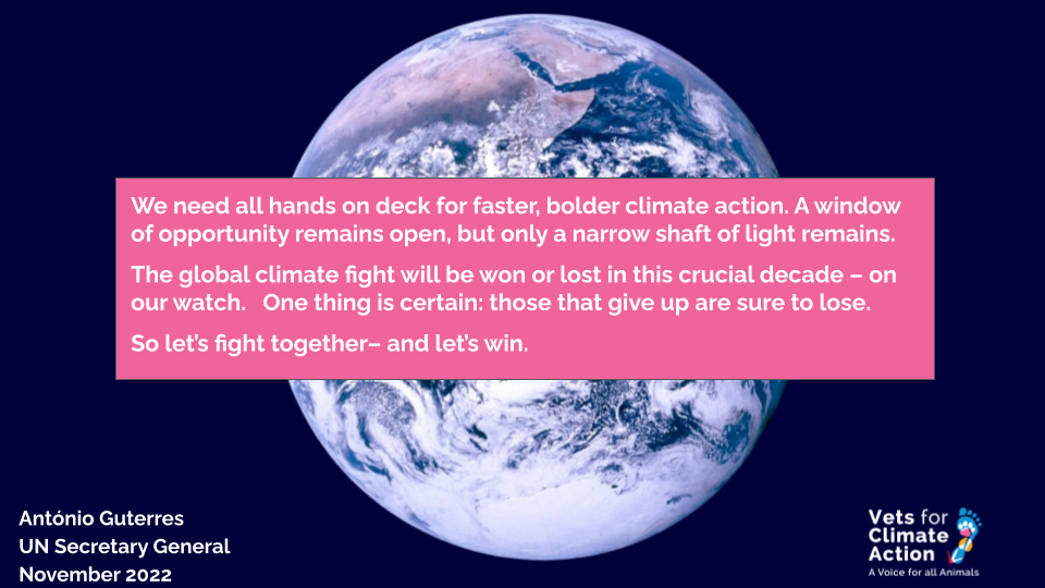 the critical decade
