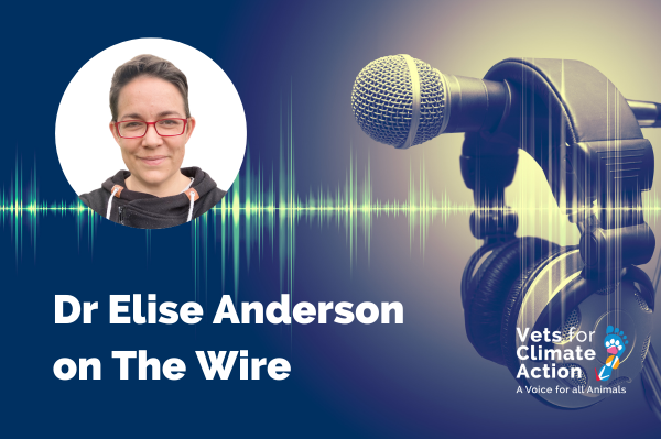 the wire nov 2023 urgent call