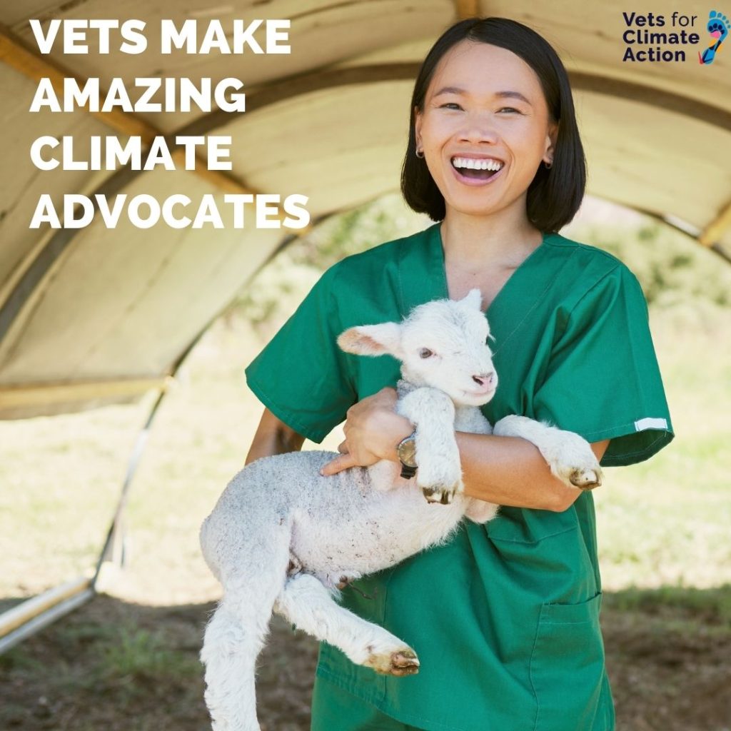 vets as climate advocates on international day of climate action