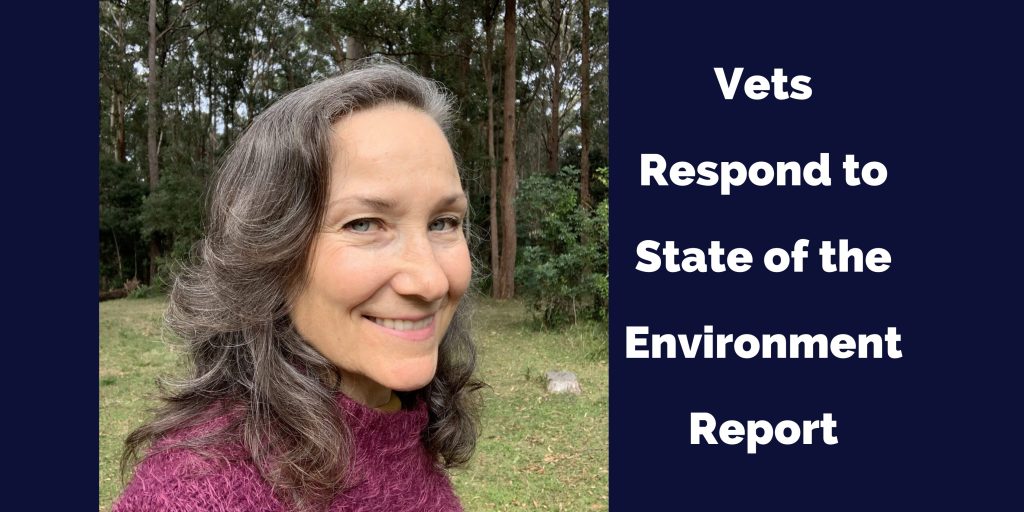 vets respond to environment report