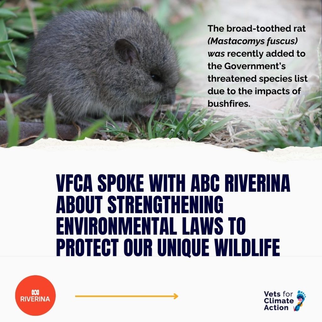 vfca spoke with abc riverina