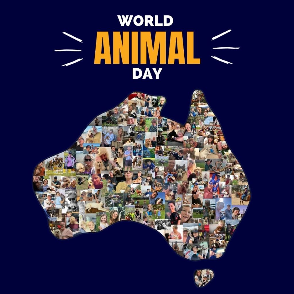 world animal day 2022