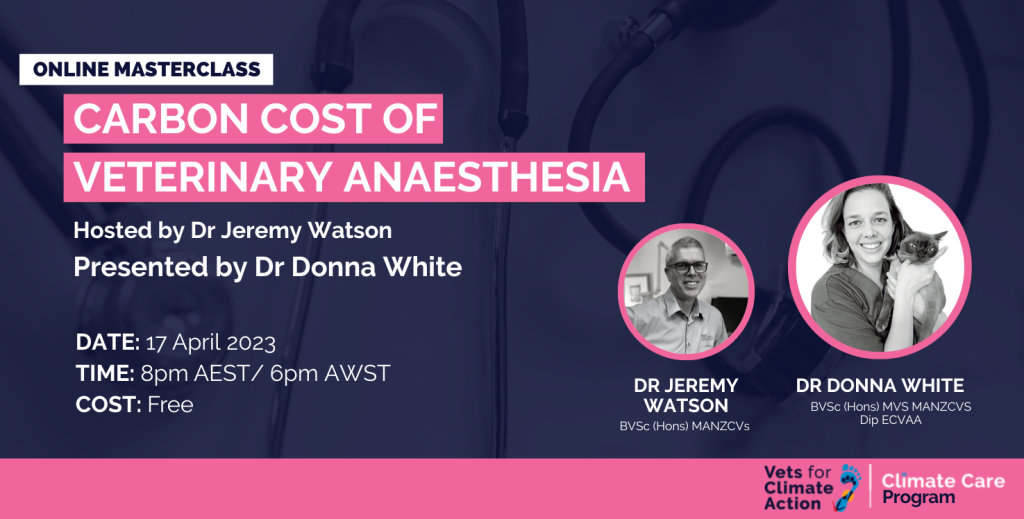 Carbon Cost of Veterinary Anaesthesia