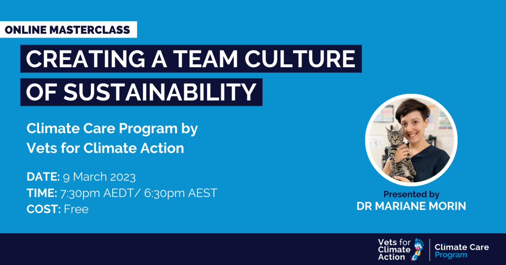 Creating a Team Culture of Sustainability