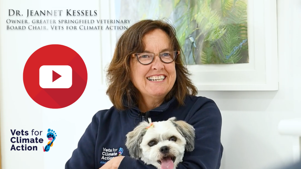 Avoiding Heat Stress in Pets