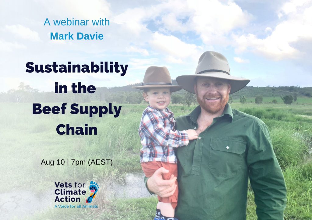 Sustainability in the Beef Supply Chain