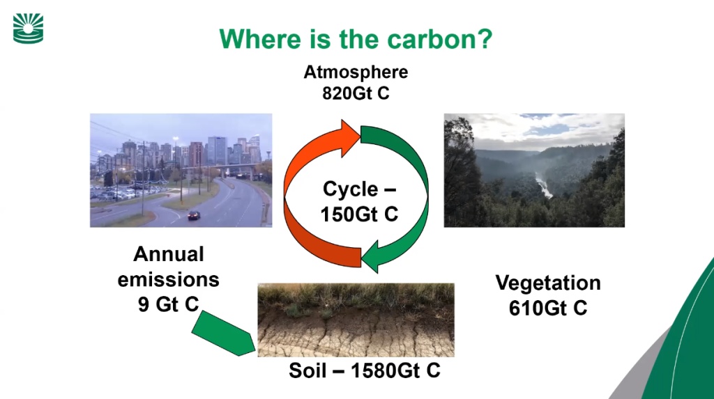 Let's Talk Soil Carbon