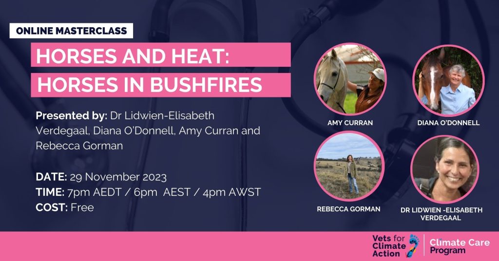 Horses and Heat: Horses in Bushfires