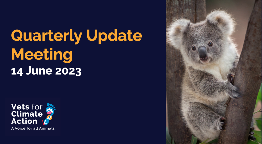 June 2023 Quarterly Update