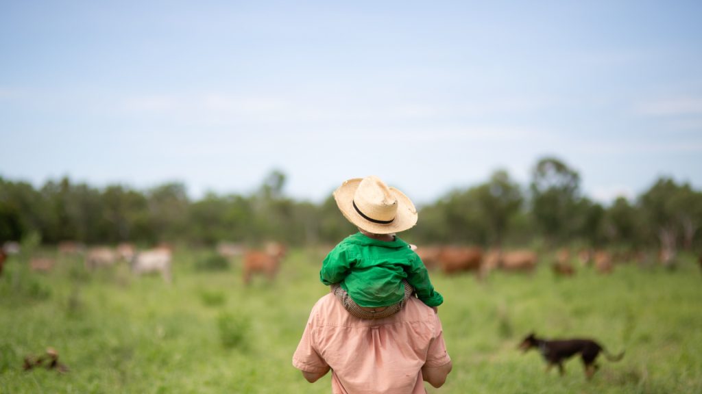 Veterinary professionals in the field with livestock
