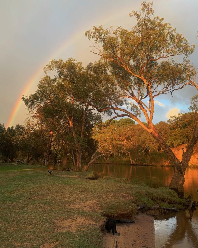 Image of a tree with rainbow in the background, signifying hope in the future for our community. Photo by Emily Wilson Photography.