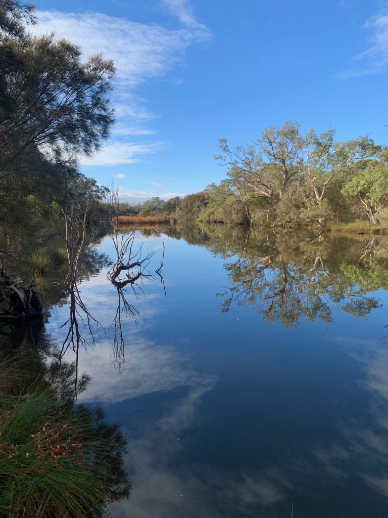 View of the Swan River from the bank. Photo by Emily Wilson Photography. The water is mirror calm and reflecting the beautiful sky, trees and shrubs. Photo by
