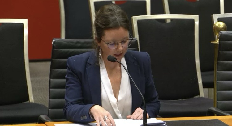 Kylie Flament speaking at a NSW Parliamentary Inquiry