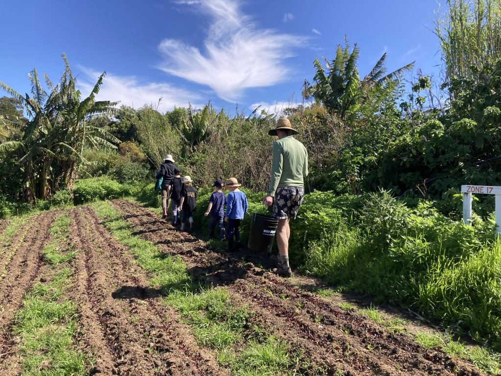 A family volunteering at Green Connect