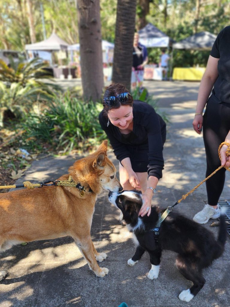 Kylie Flament with a dingo and a dog
