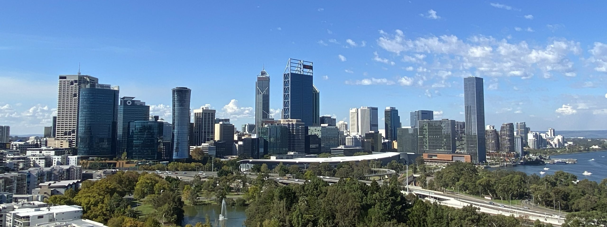 City skyline viewed from Kings Park