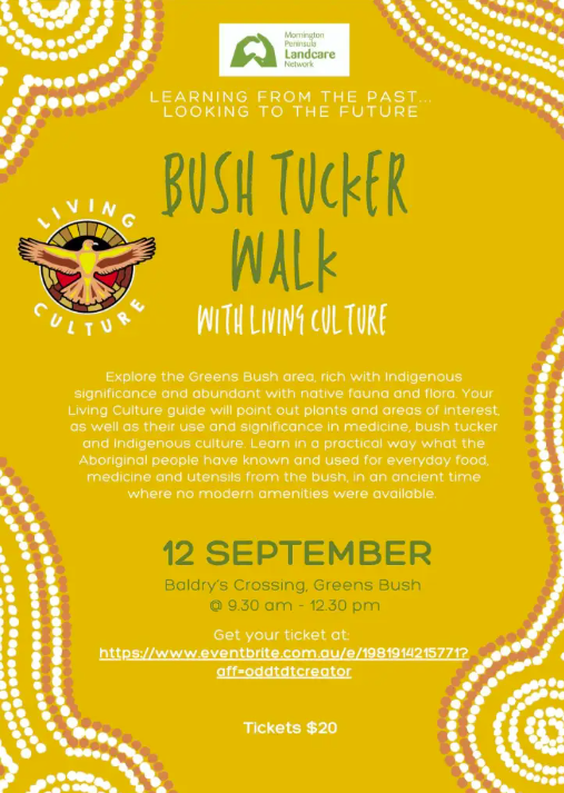 Kim attending: Bush Tucker Walk with Living Culture